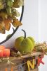 Set of 2, 8.5x8.5x10"H Velvet Weighted Pumpkin With Resin Stem Apple Green