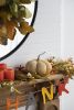 Set of 2, 7x7x7.2"H knitted Weighted Pumpkin, Pumpkin Ornament Decor for Holiday Harvest Festival Fall Festival & Thanksgiving