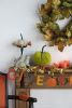 Set of 2, 8.5x8.5x10"H Velvet Weighted Pumpkin With Resin Stem Apple Green