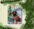 American Water Spaniel Christmas Porcelain Ornament Christmas Tree Hanging Decorations for Home Christmas Holiday, Rectangle, Gift, Multicolor