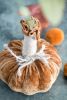 4x5.5" Sm Pumpkin Ornament, Set of 6 for Holiday Harvest Festival Fall Festival & Thanksgiving